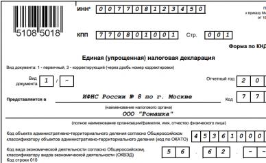 Единая упрощенная налоговая декларация образец заполнения